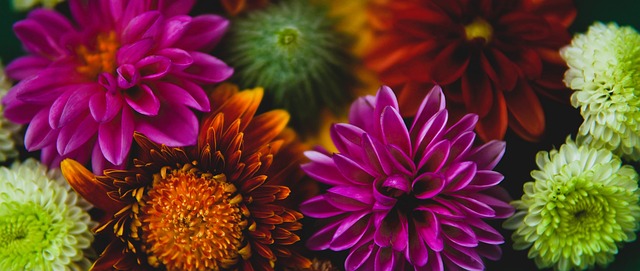 汤普森身旁 汤普森身旁