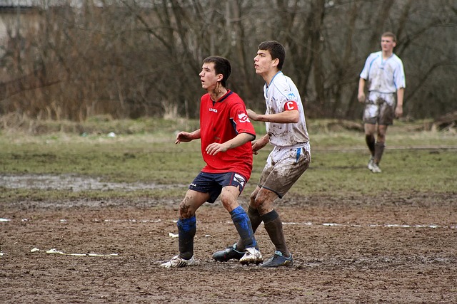 充分展示了 充分展示了