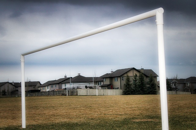 适应力强的 适应力强的